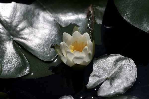 六郎丸 Studio Okamoto の 徒然日記