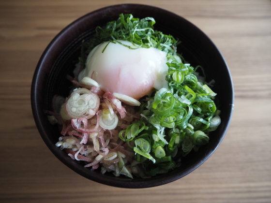 インスタント冷や汁_a0258686_11042016.jpg
