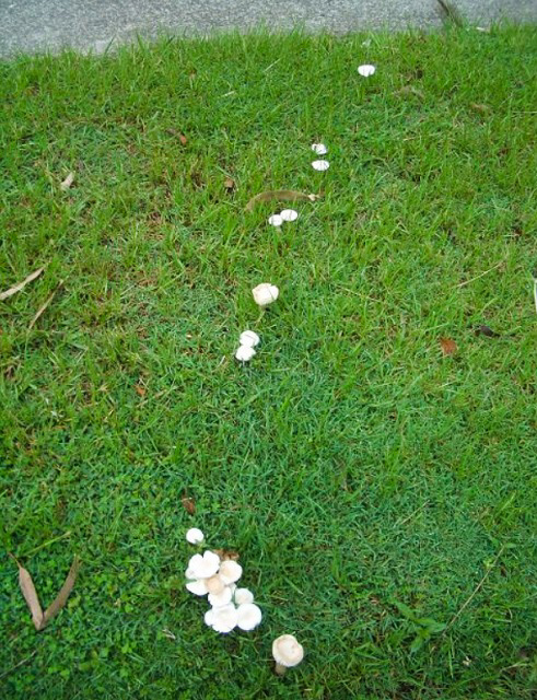 林の中を這いずり回る ~ゴルフ~_f0346196_19164593.jpg