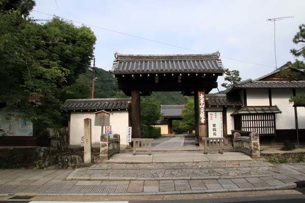 天龍寺 蓮が咲き揃い_e0048413_21462337.jpg