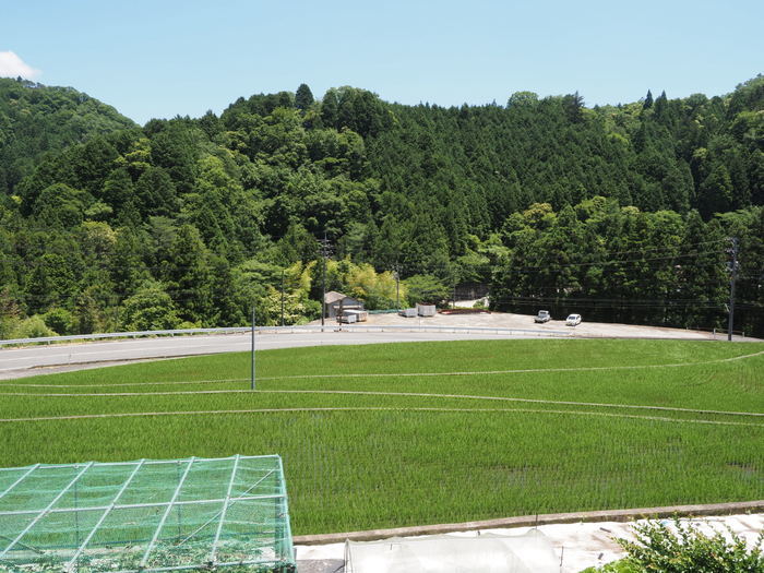 快晴_c0116915_23212343.jpg