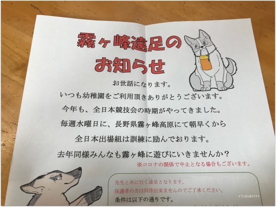 * フランの首輪とリード *_d0317115_21423473.jpg