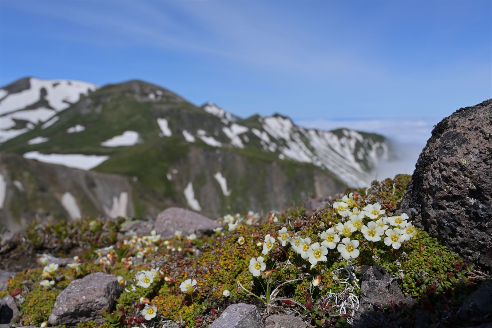 田辺三重松、【黒岳と桂月（大雪山）】、希少な画集より backend=imagemagick;version=1;