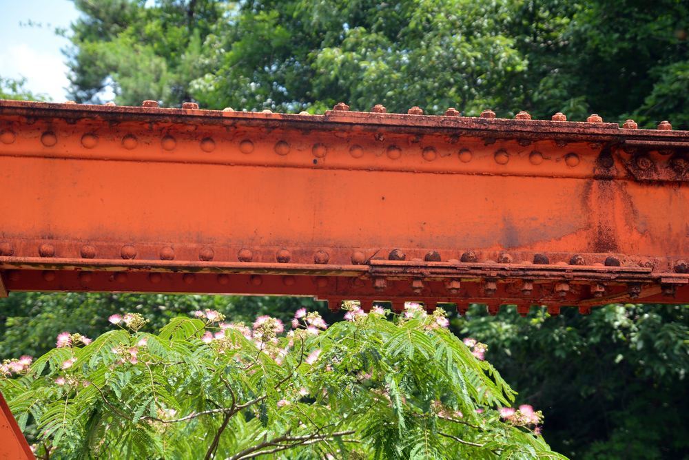 六郷川橋梁と合歓木の花_e0373930_19574349.jpg