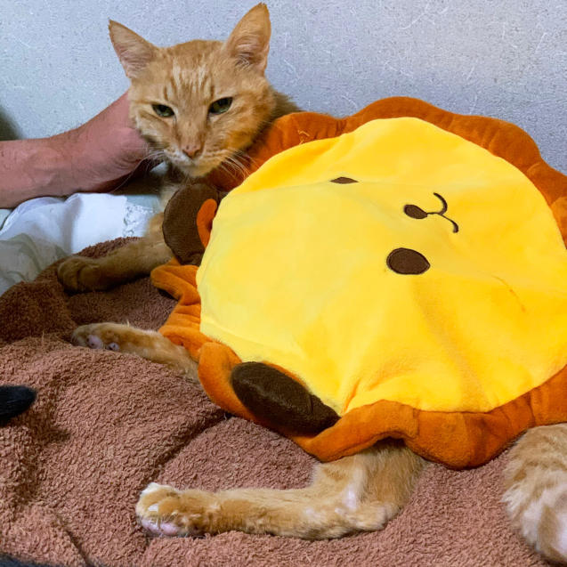 保温してほかほかに。_d0355333_23454329.jpg