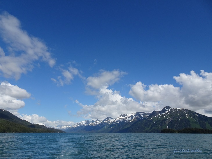 穏やかな海へ_d0356844_06482095.jpg