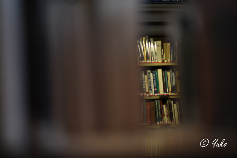 図書館 / A library_e0400546_01240473.jpg