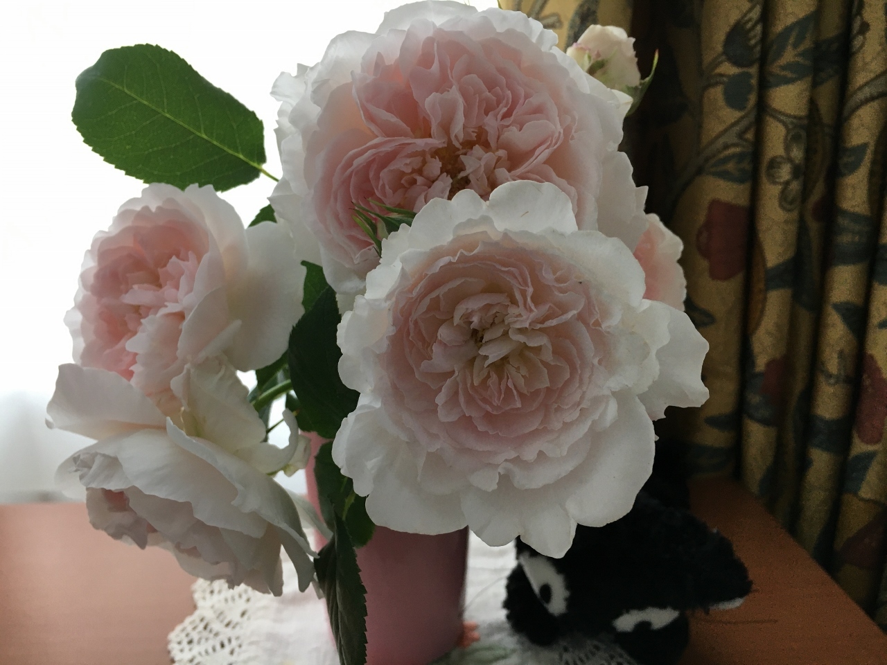 バラ、ばら、薔薇の季節ですよ~ん♪_e0326953_13315987.jpg