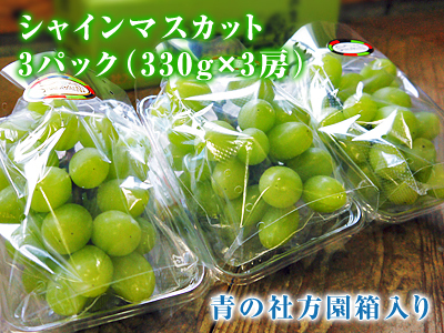 熊本ぶどう 社方園 令和2年度の山鹿のぶどうは明日(6/23)より予約受付開始!7月7日(火)より出荷開始!_a0254656_18242558.jpg