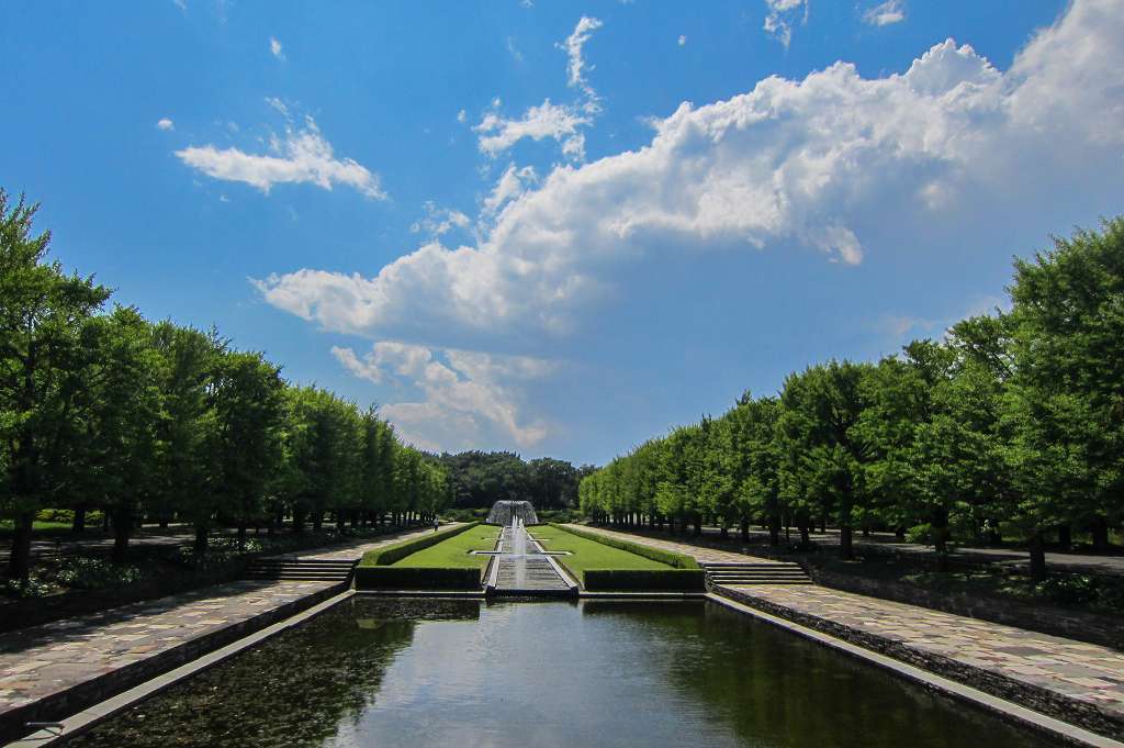 紫陽花と桔梗とフシグロセンノウ_f0044056_10455510.jpg