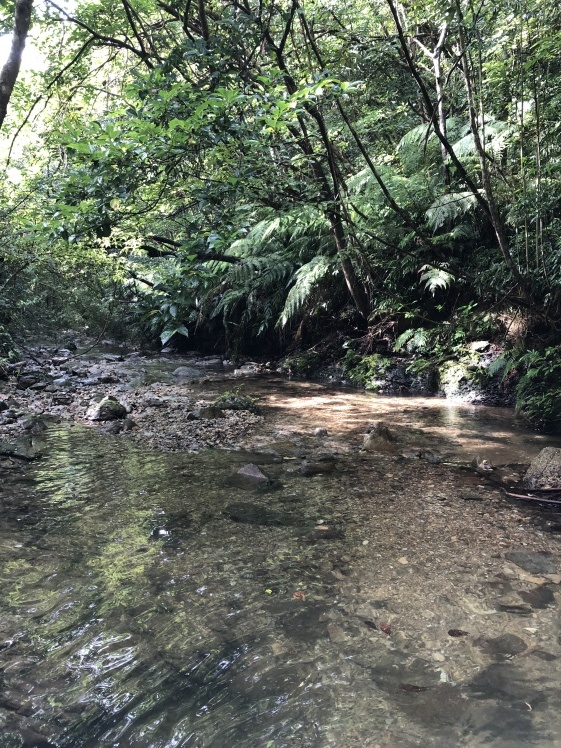 普久川滝 フンガー滝 感動屋