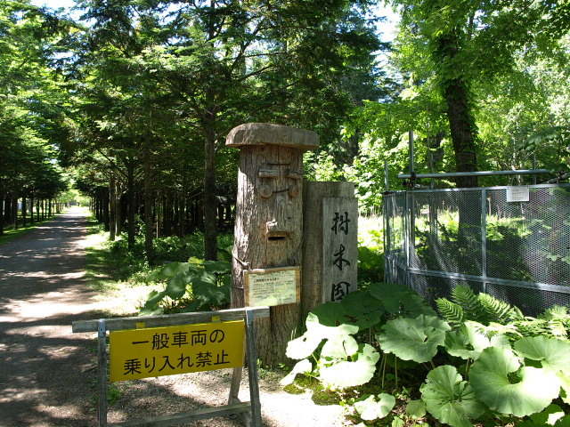 北大苫小牧研究林 6月_d0153062_20474492.jpg