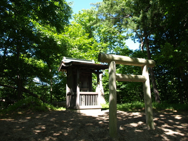 北大苫小牧研究林 6月_d0153062_20483951.jpg