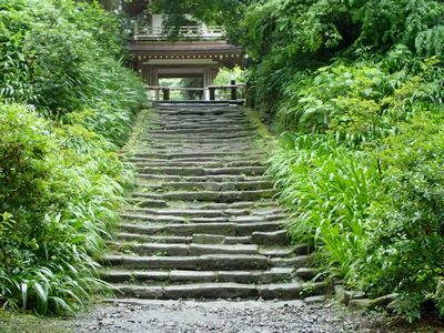 梅雨の鎌倉を歩きました。～ 浄智寺 ～_b0112263_13493971.jpg