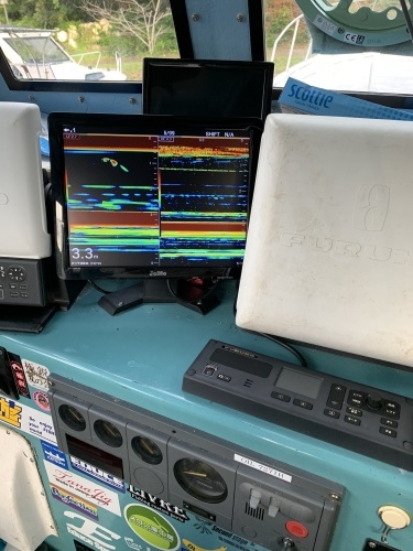 6月22日 7月8日1名キャンセル出ました 満船になりました 探検丸使える様になりました 志摩沖 ほっぺ毛丸