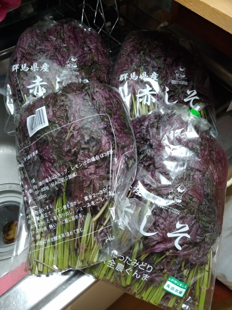 梅仕事色々_c0162773_20230593.jpg