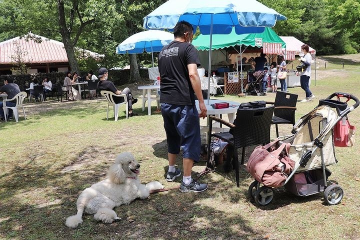 リトルワールド~~~~!_b0111376_15022551.jpg