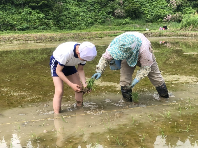 コイの田んぼの稲作活動２０２０_d0182179_09561184.jpeg
