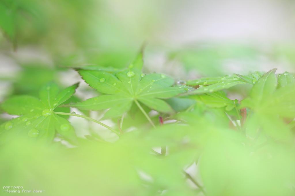 ほらぁ_c0356480_21051847.jpg