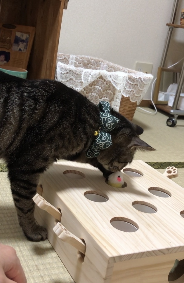 トレーニングブログ_f0357682_14125316.jpeg