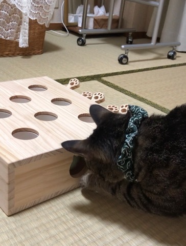 トレーニングブログ_f0357682_14150929.jpeg