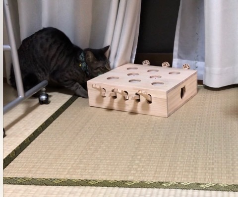 トレーニングブログ_f0357682_14151911.jpeg