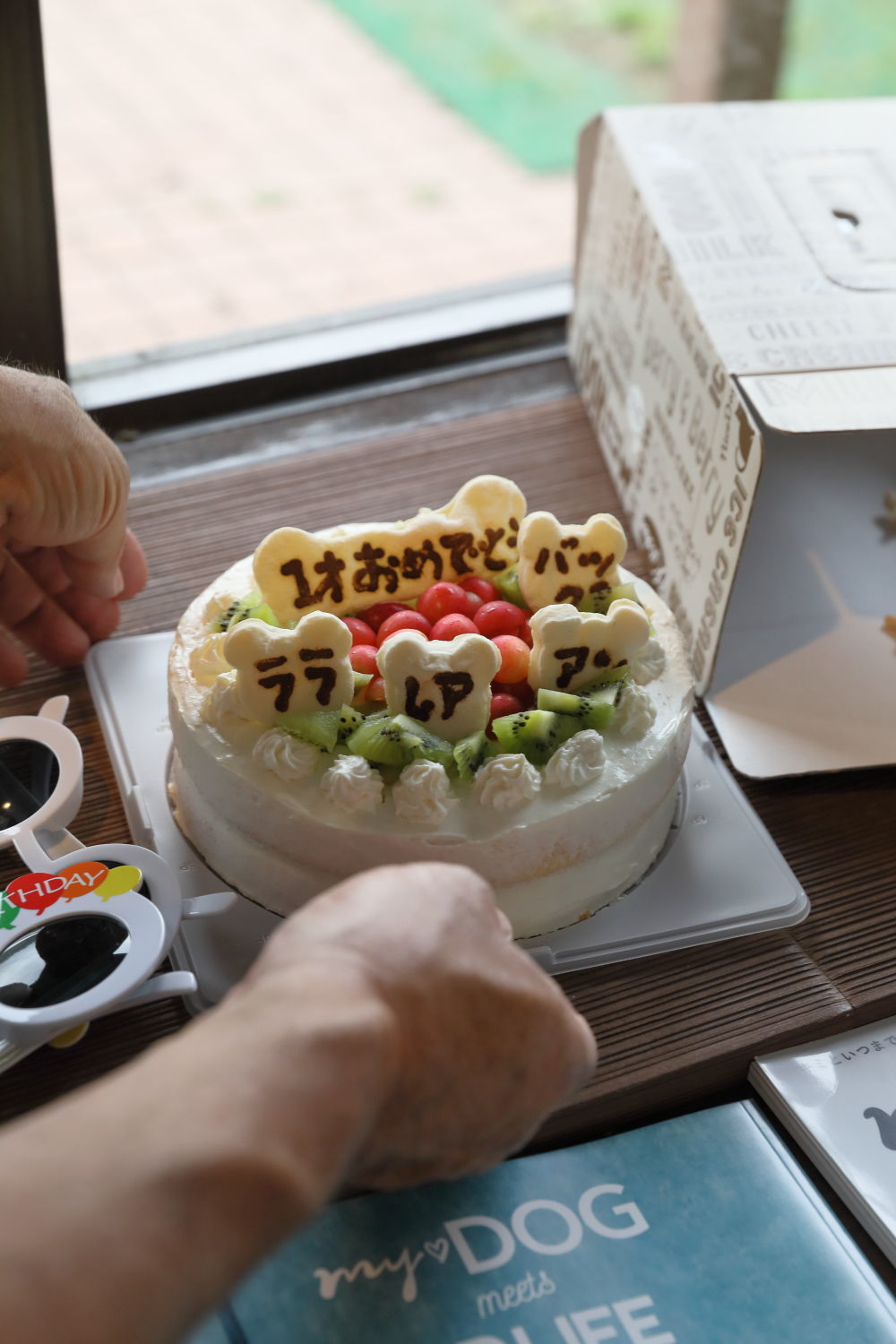 1歳のお誕生日旅行(1)_b0275998_13401200.jpg