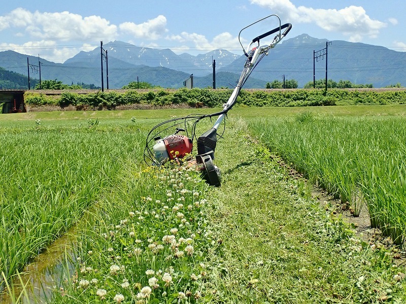 兼業農家は2回目の草刈り作業を行いました_c0336902_20041910.jpg