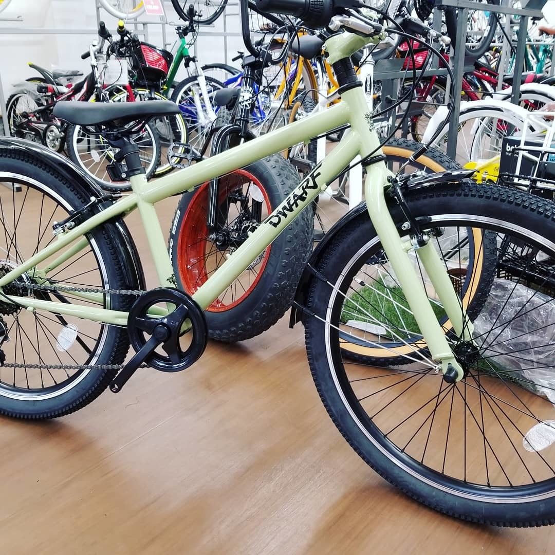 dwarf 自転車 24インチ