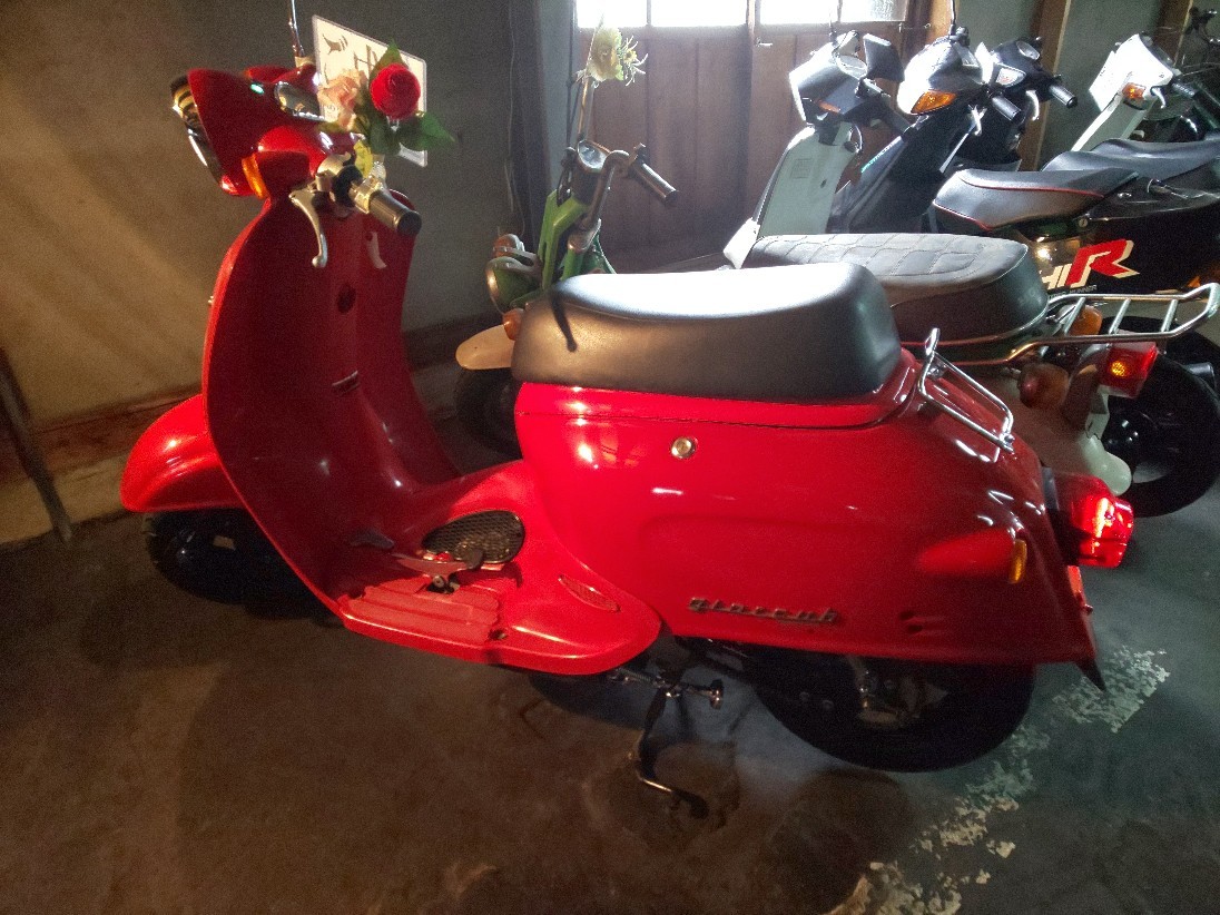 ジョルカブ納車_e0055711_12554549.jpg