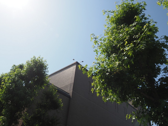 佐伯区民文化センター&五日市中央公園_c0116915_23454877.jpg