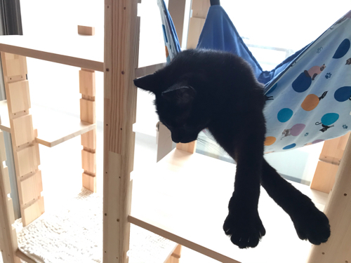 猫棚／キャットタワーをDIY : ALOHAs☆Diary