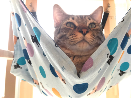 猫棚 キャットタワーをdiy Alohas Diary 猫棚 キャットタワーをdiy Alohas Diary