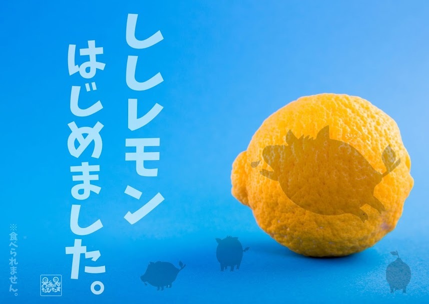 たびたすに『ししレモン』が仲間入りしました。_b0360823_18322481.jpg