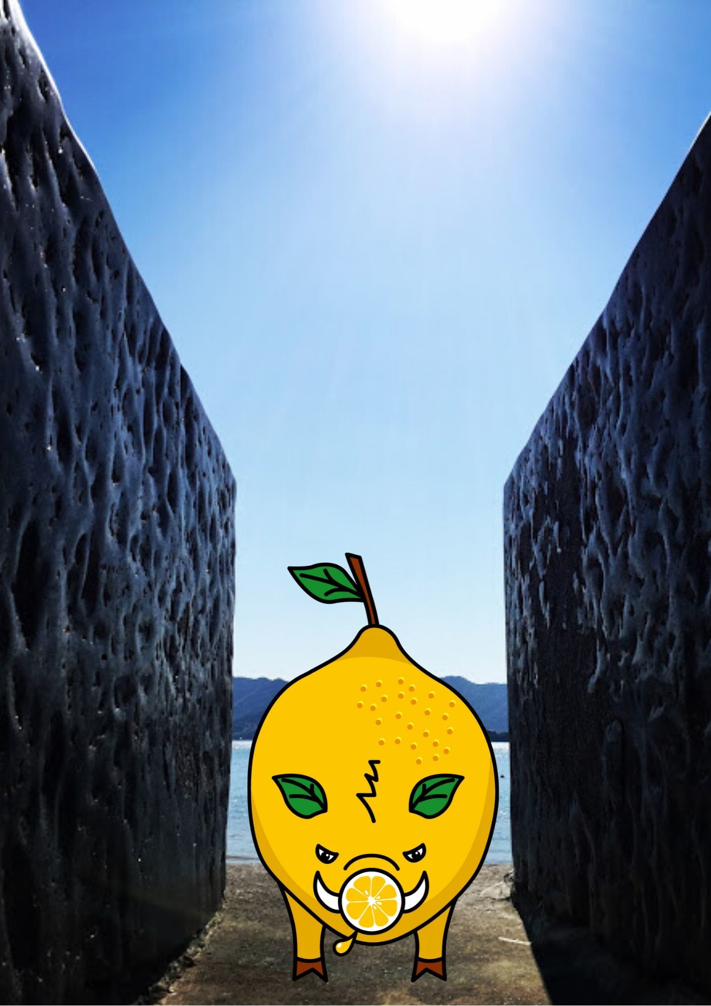 たびたすに『ししレモン』が仲間入りしました。_b0360823_18324554.jpg