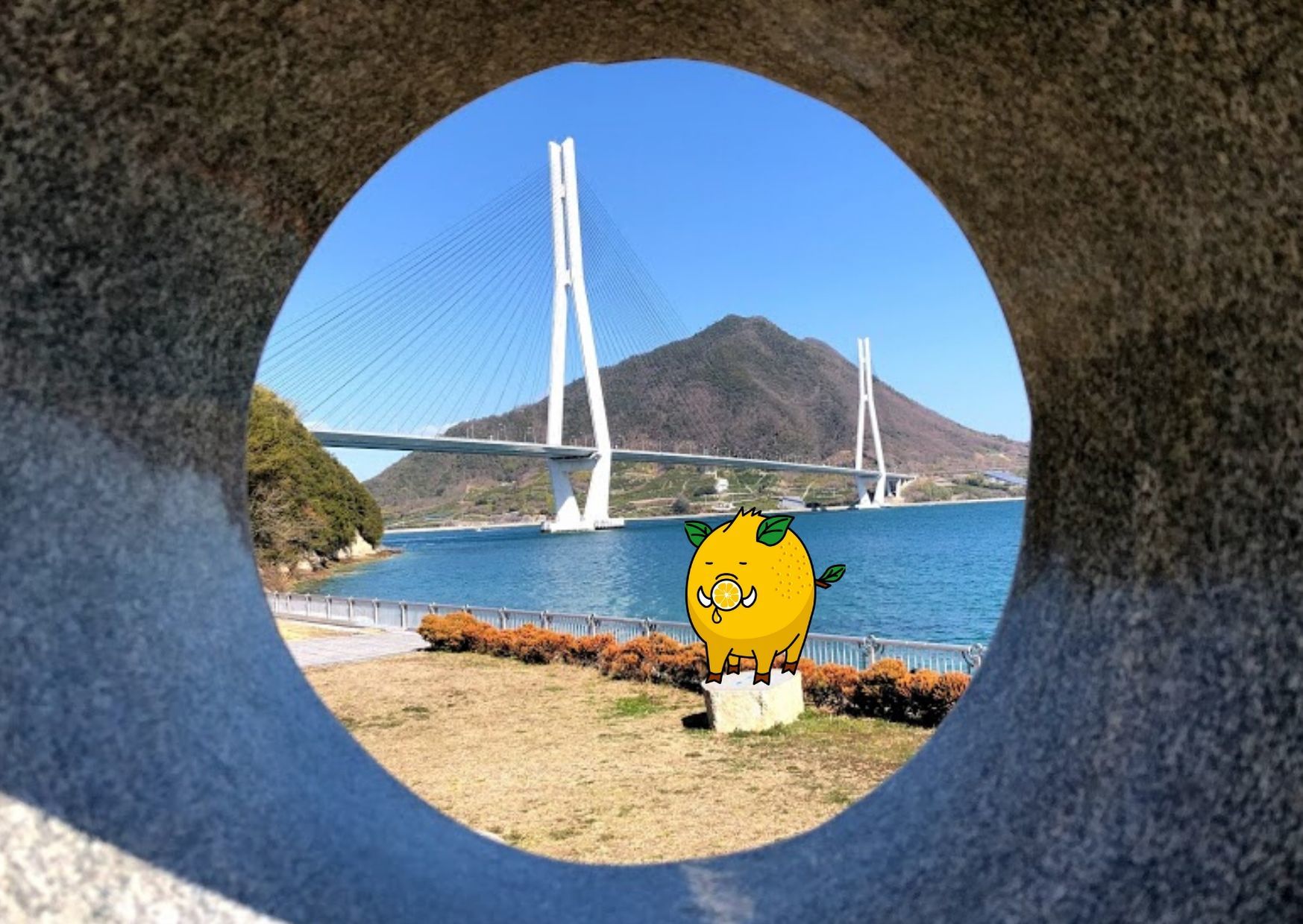 たびたすに『ししレモン』が仲間入りしました。_b0360823_18333322.jpg