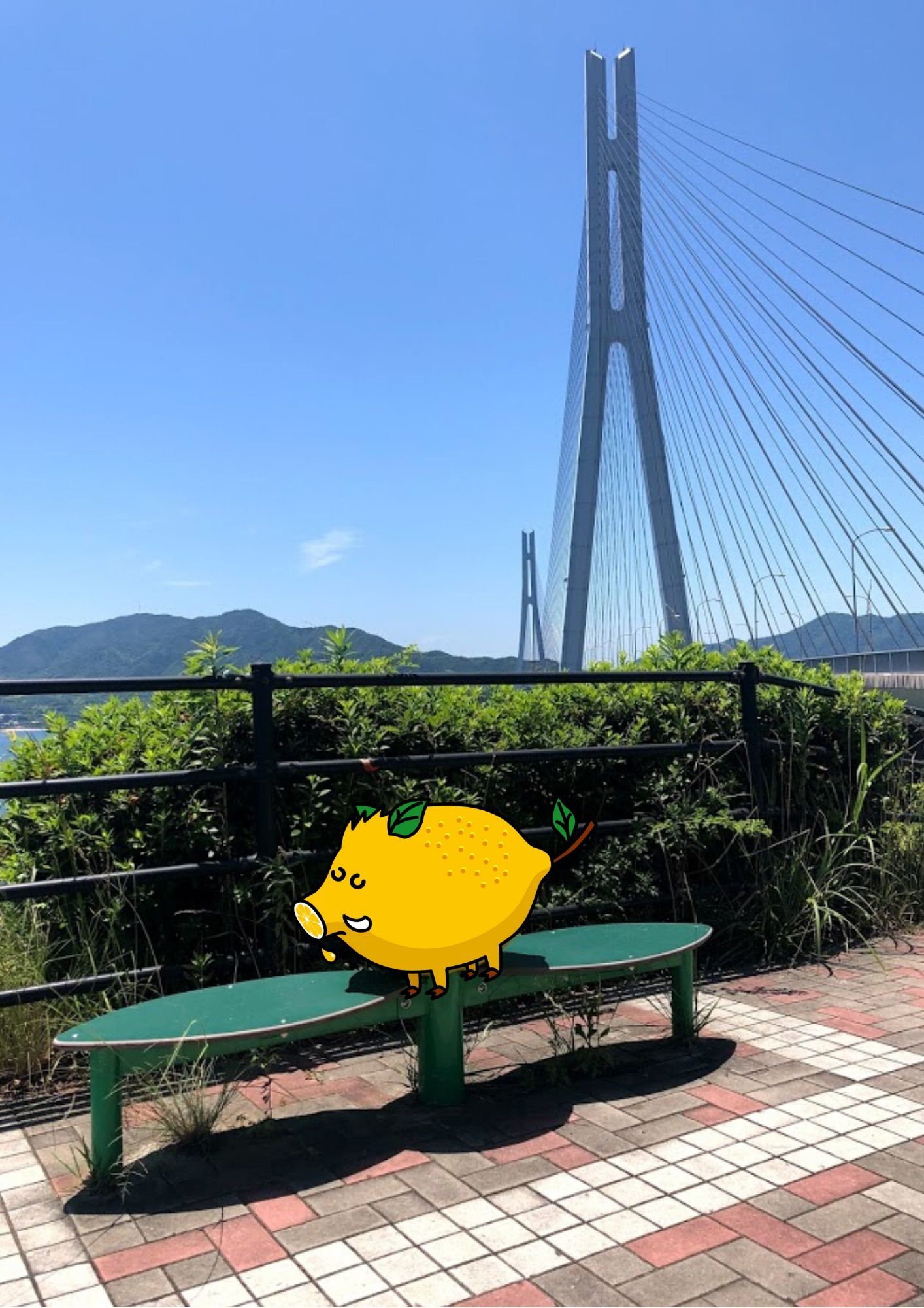 たびたすに『ししレモン』が仲間入りしました。_b0360823_18340678.jpg