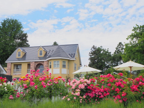 オープンガーデン大澤邸(平川市)*2020.06.18_b0147224_7585027.jpg