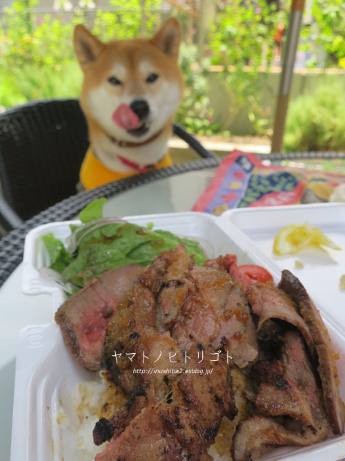 梅と肉の日_e0394031_06091312.jpg