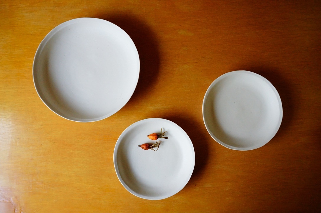照井壮 磁器展 明日から始まります (6/24~29)_b0132442_16525440.jpeg