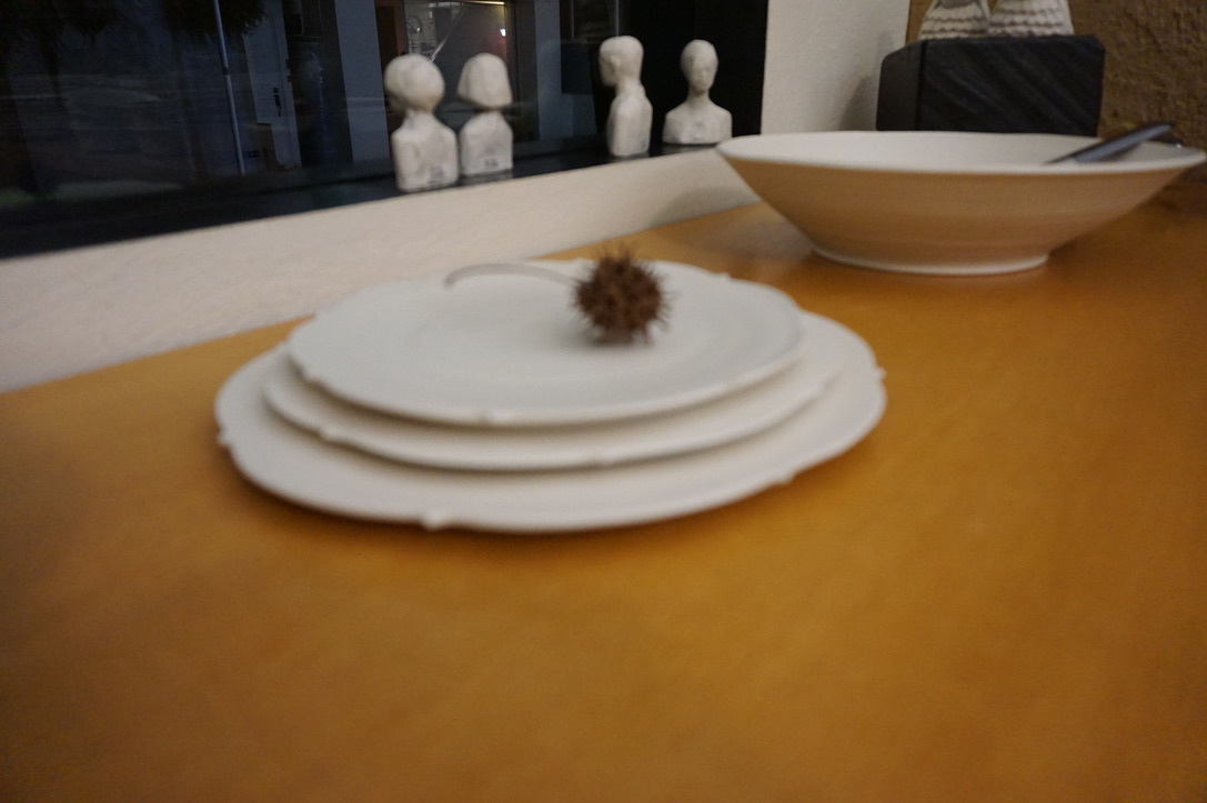 照井壮 磁器展 明日から始まります (6/24~29)_b0132442_20220839.jpeg