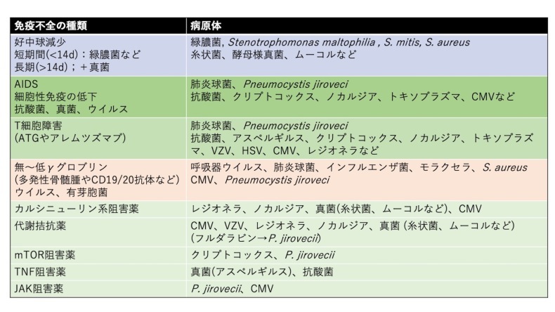 免疫不全患者の市中肺炎(CAP)マネジメント① : 内科医のジレンマ