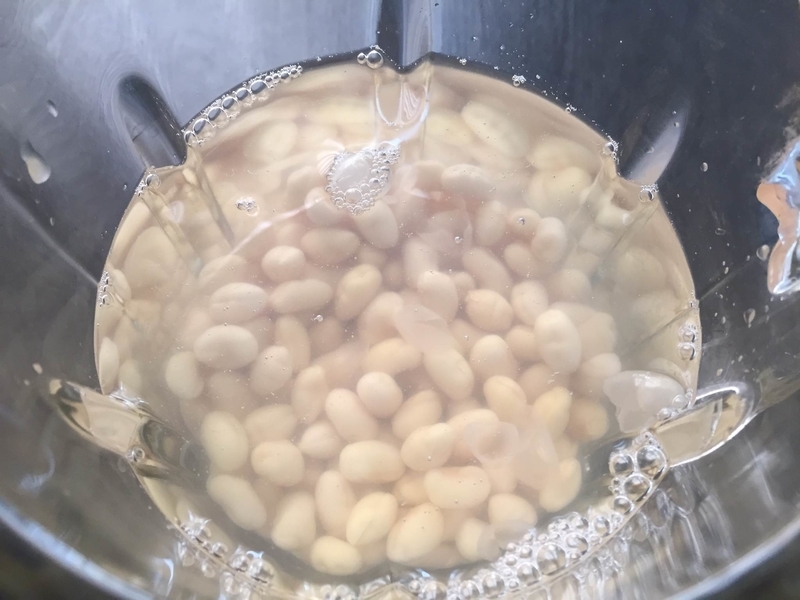 【雑穀料理】材料はたったの2つだけ!フレッシュな自家製豆乳とおからの作り方・レシピ【大豆】_c0405952_23165165.jpg