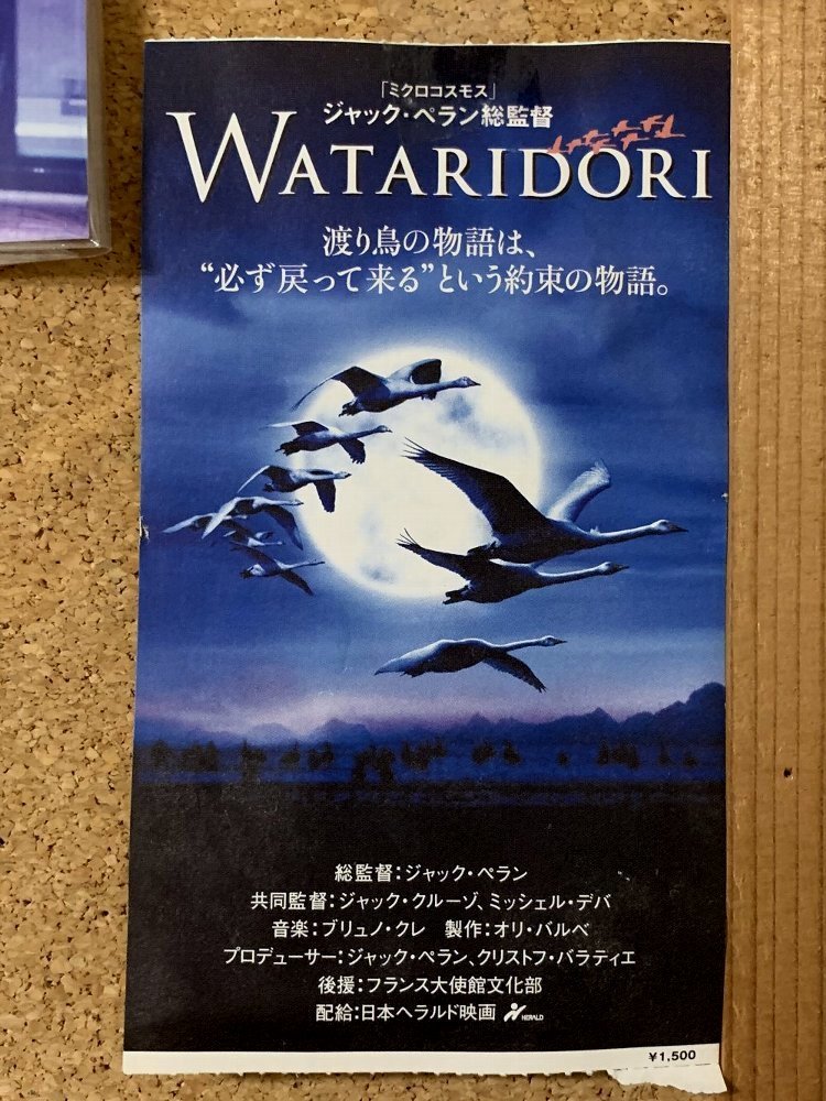 ☆そうか、あの地点から18年も経っているのか‥☆_c0092953_00342689.jpg