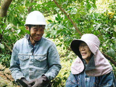 香り高き柚子(ゆず) 着果の様子(2023)今年は収量アップに期待!まずは青柚子を9月中旬から出荷します_a0254656_19003877.jpg