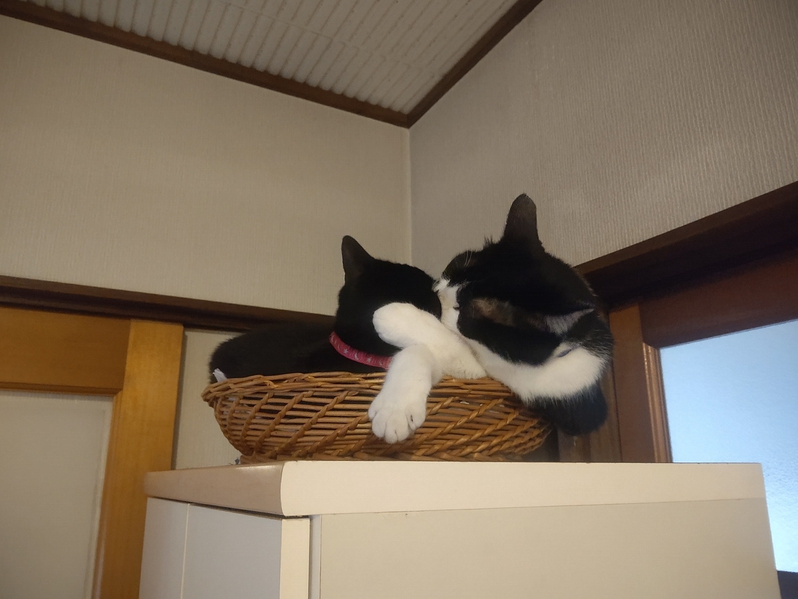 ヒーリングミュージック_b0397656_14583603.jpg