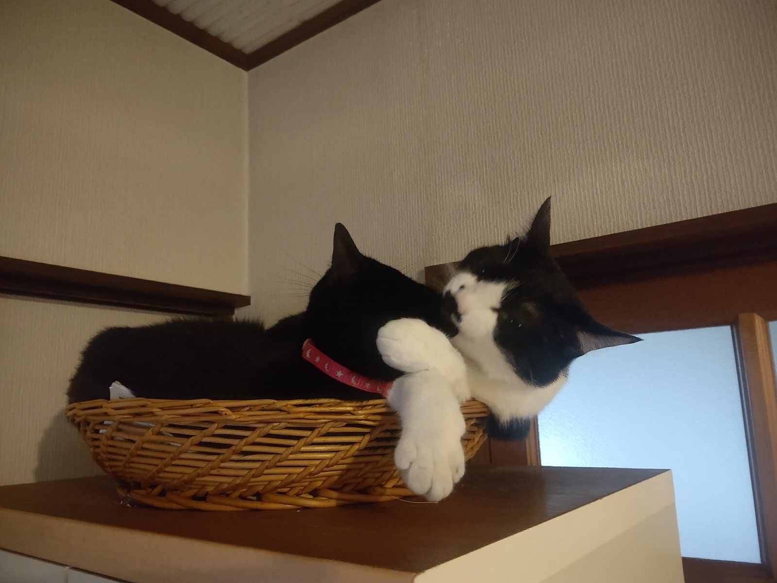 ヒーリングミュージック_b0397656_14584577.jpg