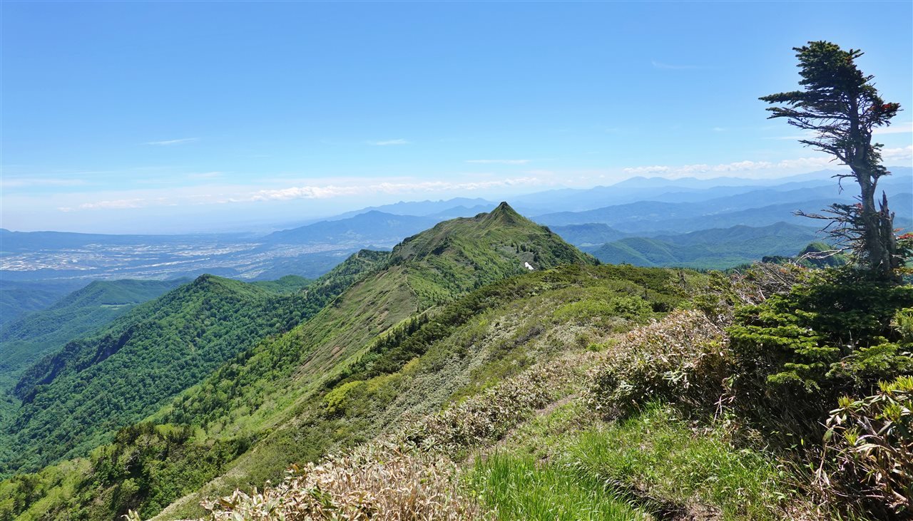 武尊山、久しぶりの登山は結構ハードでした！(2020.6.17)_e0368467_15421917.jpg