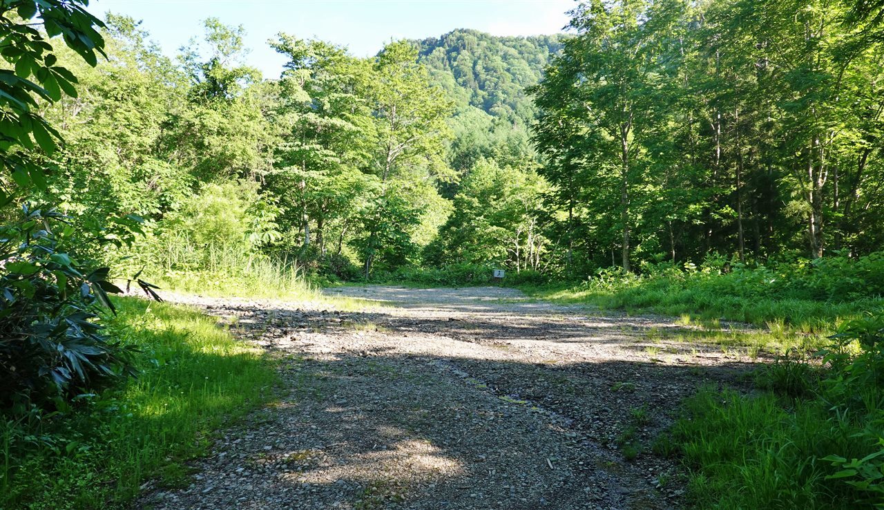 武尊山、久しぶりの登山は結構ハードでした！(2020.6.17)_e0368467_15440120.jpg