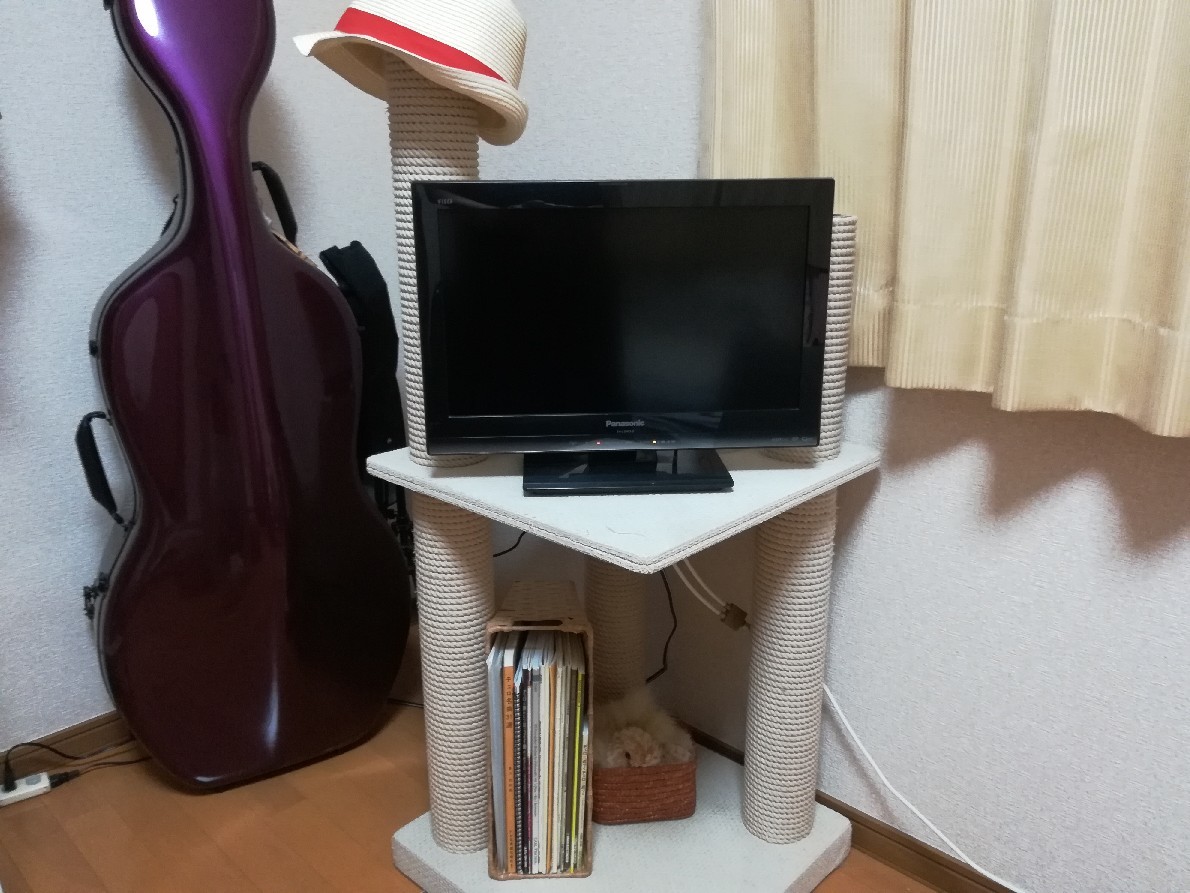 スグルの月命日_e0171874_20472684.jpg